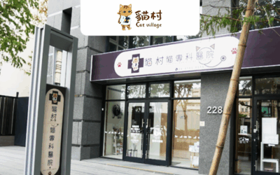 【貓村貓專科醫院】簡單易上手的飛騰雲助理，免去人事作業負擔