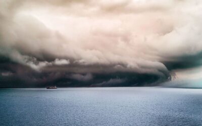 飛騰雙週報_20251115